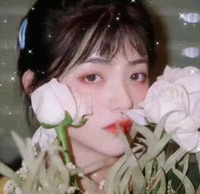 女记者查案记